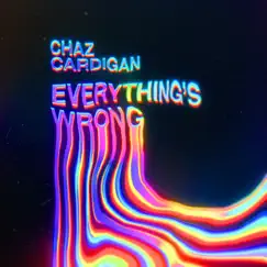 Everything's Wrong Song Lyrics