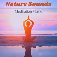 Nature Sounds Meditation Music: Relaxing Music, Calming Rain, Water and Singing Birds, Sea & Ocean Waves by Kenio Shah album reviews, ratings, credits