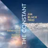 The Constant (with Elias Stemeseder & Thomas Morgan) album lyrics, reviews, download