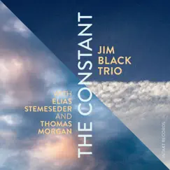 The Constant (with Elias Stemeseder & Thomas Morgan) by Jim Black Trio album reviews, ratings, credits