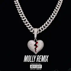 Molly (Remix) [feat. FOOGIANO] - Single by Snapshot Sorto album reviews, ratings, credits