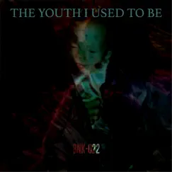 The Youth I Used To Be by Entro Senestre album reviews, ratings, credits