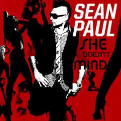 She Doesn't Mind - Single by Sean Paul album reviews, ratings, credits