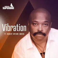 Vibration (feat. Robert Imtume Owens) - Single by Sound of SuperBad album reviews, ratings, credits