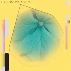 Hydrangea by Holly Childs & Gediminas Žygus album reviews, ratings, credits