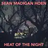 Heat of the Night - Single album lyrics, reviews, download