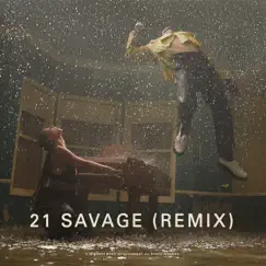 Show Me Love (Remix) [feat. 21 Savage & Miguel] Song Lyrics