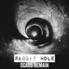 Rabbit Hole - Single album lyrics, reviews, download