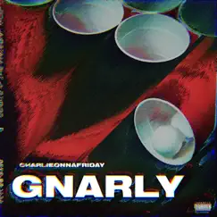 Gnarly - Single by Charlieonnafriday album reviews, ratings, credits