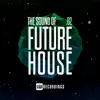 Experimental Soul (Future House Mix) song lyrics