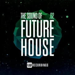 Experimental Soul (Future House Mix) Song Lyrics