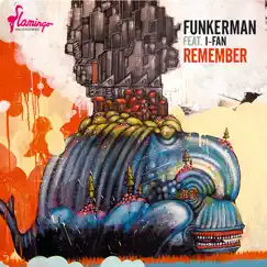 Remember (feat. I-Fan) by Funkerman album reviews, ratings, credits