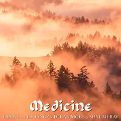 Medicine (feat. Lily Fangz, Shylah Ray Sunshine & Teddy Roxpin) - Single by J Brave & Equanimous album reviews, ratings, credits