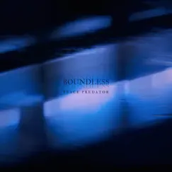 Boundless by Peace Predator & Relaxing Spa Music album reviews, ratings, credits
