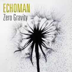 Zero Gravity - Single by Echoman album reviews, ratings, credits