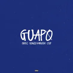 Guapo (feat. CGB & Gonzo VanGogh) Song Lyrics