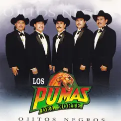 Ojitos Negros by Los Pumas del Norte album reviews, ratings, credits
