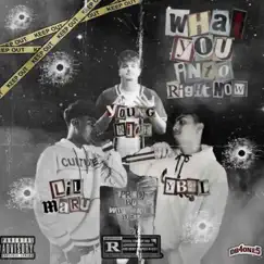 What You Into (Right Now) [feat. Lil Maru & YB4L] - Single by Young Rich album reviews, ratings, credits