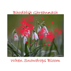 When Snowdrops Bloom - Single by Bhodaich Ghreannach, Eileen Finlayson, Robin Herd & St John Vianney Rc School Primary The Inch Edinburgh album reviews, ratings, credits