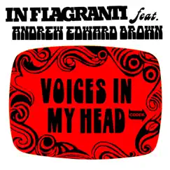 Voices in My Head (Overwhelming Response Mix) [feat. Andrew Edward Brown] Song Lyrics