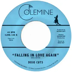 Falling In Love Again Song Lyrics