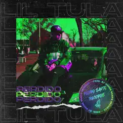Perdido (feat. Lil Tula) - Single by Pedro Santo Records album reviews, ratings, credits
