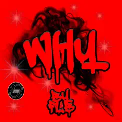 Why - Single by FLB album reviews, ratings, credits