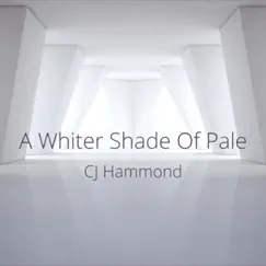 Whiter Shade of Pale Song Lyrics