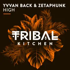 High - Single by Yvvan Back & Zetaphunk album reviews, ratings, credits