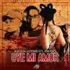 Oye Mi Amor (feat. Amaro) album lyrics, reviews, download