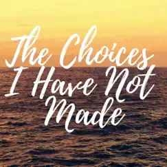 The Choices I Have Not Made - Single by The Lofi Bard album reviews, ratings, credits