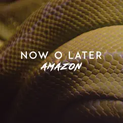 Amazon - Single by Now O Later album reviews, ratings, credits