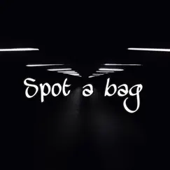 Spot a Bag (feat. Vonto) Song Lyrics