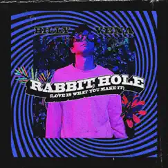 Rabbit Hole (Love Is What You Make It) - Single by Billy Vena album reviews, ratings, credits