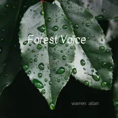 Forest Voice Song Lyrics