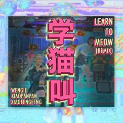 Learn To Meow (Remix) - Single by WENGIE, Xiaopanpan & Xiaofengfeng album reviews, ratings, credits