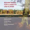 Brahms' Werke für Klarinette und Pianoforte album lyrics, reviews, download