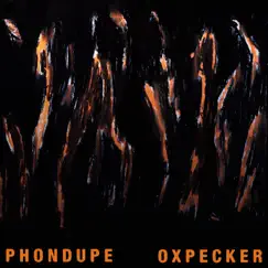 Oxpecker - Single by Phondupe album reviews, ratings, credits