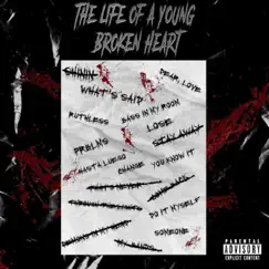 The Life of a Young Broken Heart by Lil Slam album reviews, ratings, credits