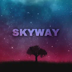 Skyway - Single by Mooverse album reviews, ratings, credits