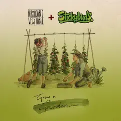Grow a Garden (Stickybuds Remix) - Single by Formidable Vegetable album reviews, ratings, credits