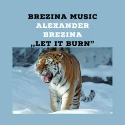 Let It Burn - Single by Alexander Brezina album reviews, ratings, credits