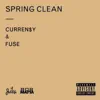 Spring Clean album lyrics, reviews, download