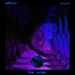 The Wise - EP by Ekkor album reviews, ratings, credits