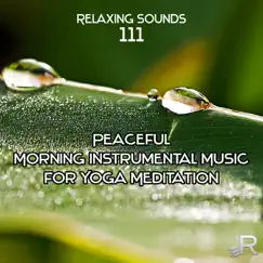 Relaxing Sounds 111: Peaceful Morning Instrumental Music for Stress Relief, Yoga Meditation, Healing Songs with Ocean and Birds by Various Artists album reviews, ratings, credits