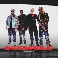 Indomable (Remix) Song Lyrics