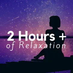 2 Hours of Relaxation - Find True Peace with the Best Selection of New Age Relaxing Hits by Deep Nap & Relaxing Mindfulness Meditation Relaxation Maestro album reviews, ratings, credits