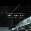 The Matrix (Protonica Remix) - Single album lyrics, reviews, download