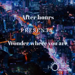 Wonder Where You Are Dj Edit Song Lyrics