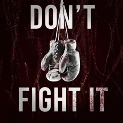 Don't Fight It (feat. Raimi) Song Lyrics
